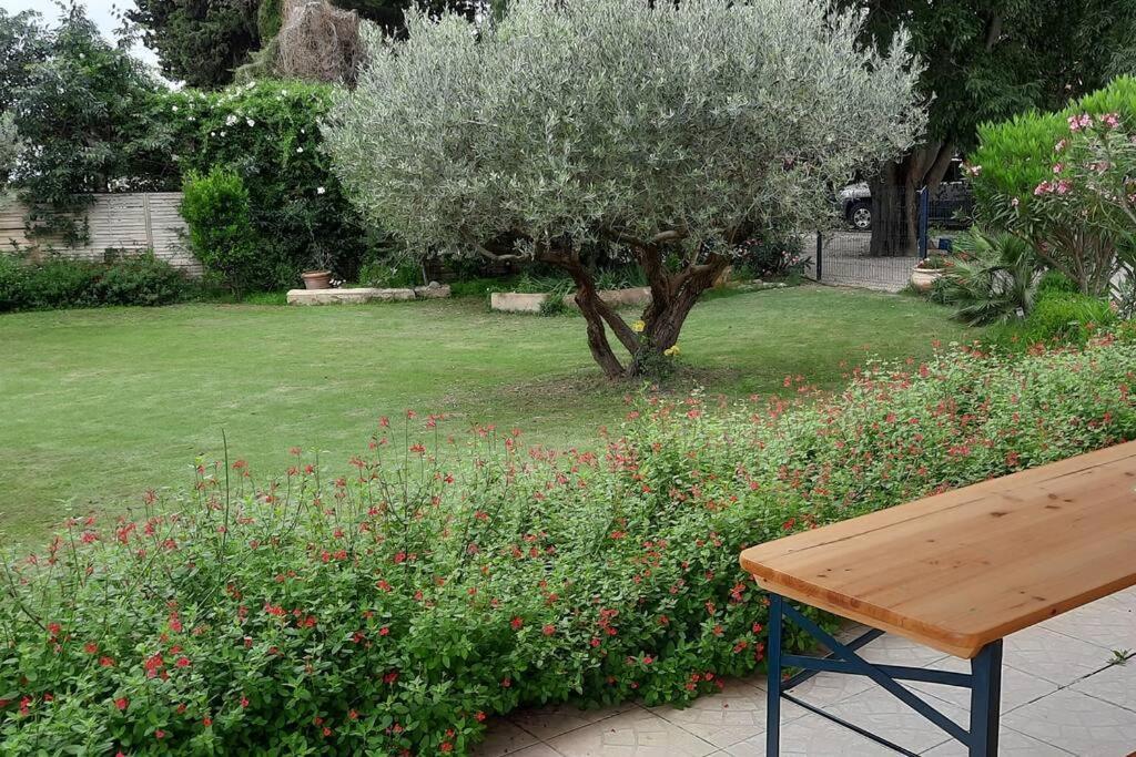 Villa L'Estel En Campagne Avec Piscine Privee Proche Arles Et Avignon ตาฮาสคอง ภายนอก รูปภาพ